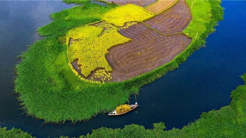 Hình nền phong cảnh bình yên tạo không gian yên tĩnh