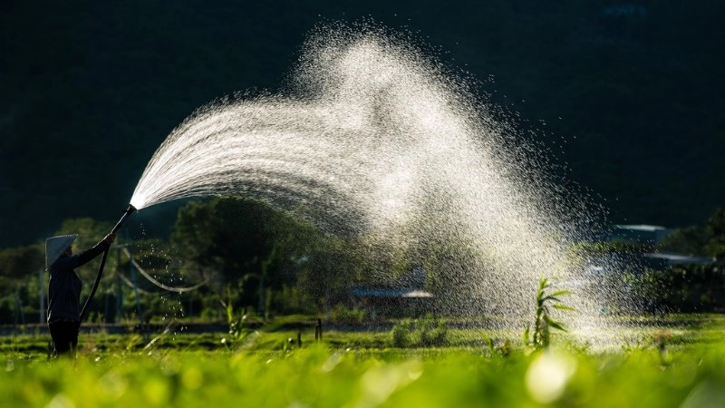 Tranh phong cảnh bình yên tô điểm cho không gian nhà