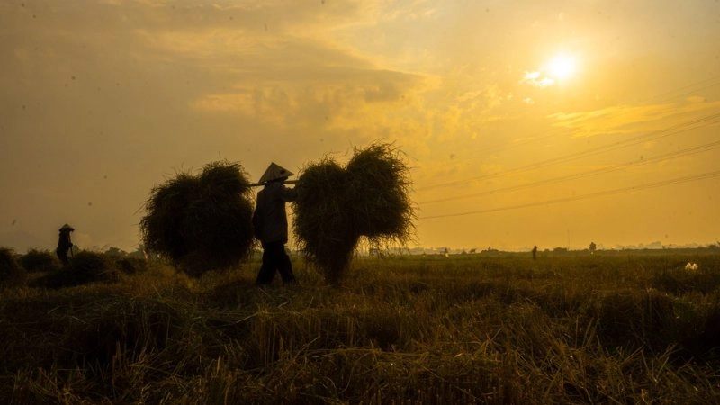 Hình nền phong cảnh bình yên cho điện thoại và máy tính