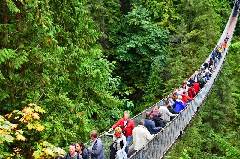 Khám phá cầu treo ở vùng cao với tầm nhìn rộng