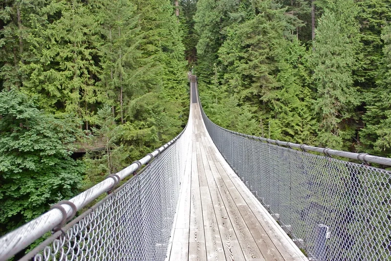 Khám phá cầu treo gỗ bắt qua suối thơ mộng