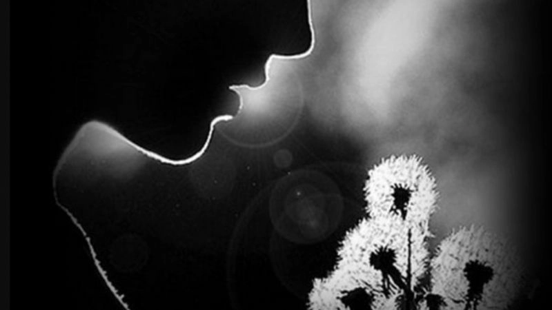 Ngắm cảnh cô đơn để thấy sự tĩnh lặng trong tâm hồn