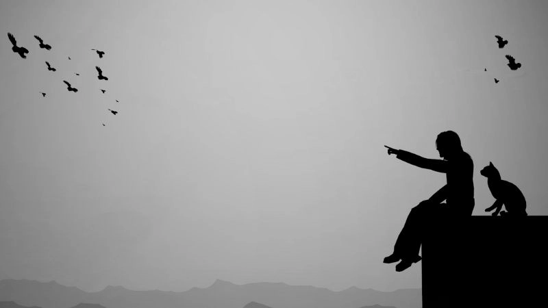 Thả hồn vào ảnh phong cảnh cô đơn đầy cảm xúc