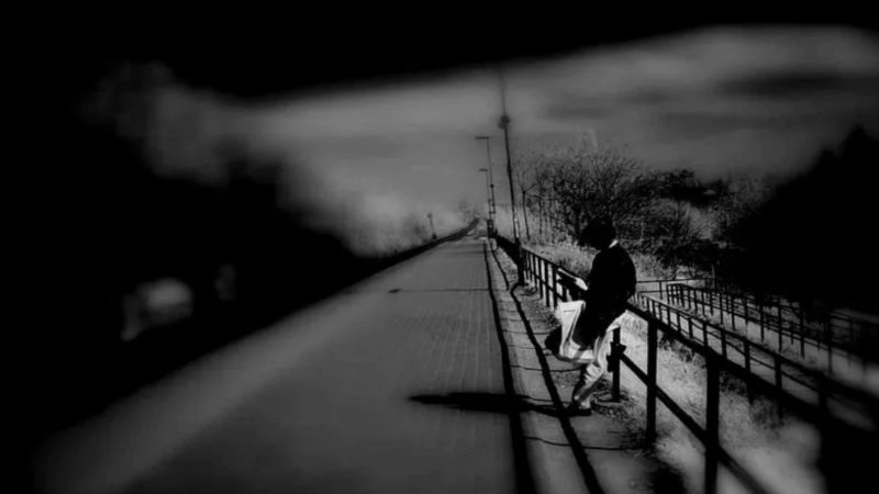 Chiêm ngưỡng cảnh cô đơn mùa thu đầy suy tư