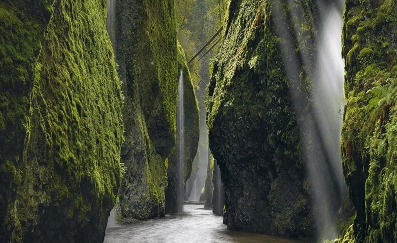 Cảm nhận cảnh suối chảy róc rách bình yên giữa thiên nhiên