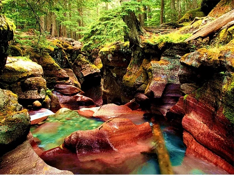 Ngắm ảnh đẹp con suối uốn lượn tự nhiên mềm mại giữa núi rừng