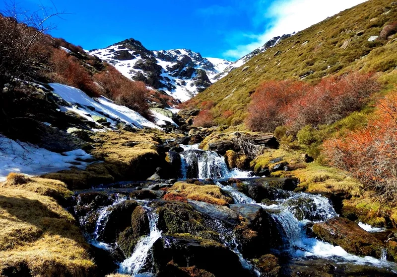 Thưởng thức phong cảnh suối đá thiên nhiên xanh mát và yên bình