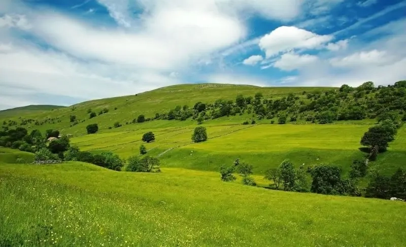 Ngắm nhìn đồng cỏ đẹp dưới ánh nắng vàng