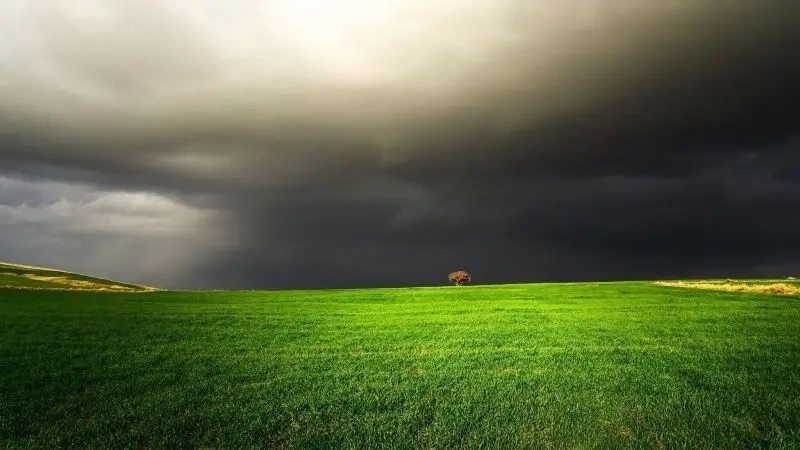 Khám phá phong cảnh đồng quê đầy màu sắc