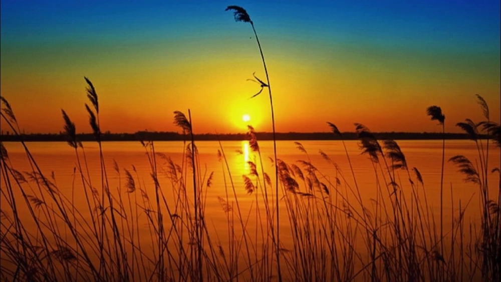 Tận hưởng không gian lãng mạn với hình nền phong cảnh hoàng hôn đẹp mắt