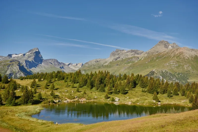 Tham gia du lịch mạo hiểm trong rừng đầy cảm xúc