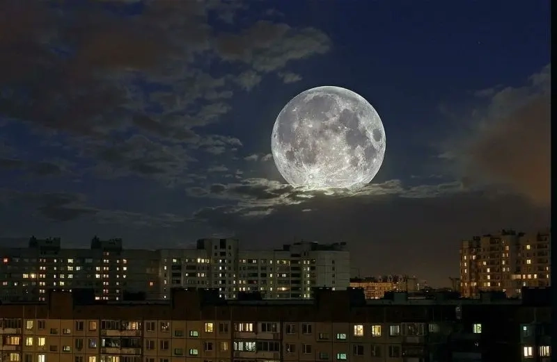 Thưởng thức cảnh mặt trăng yên bình dưới trời đêm