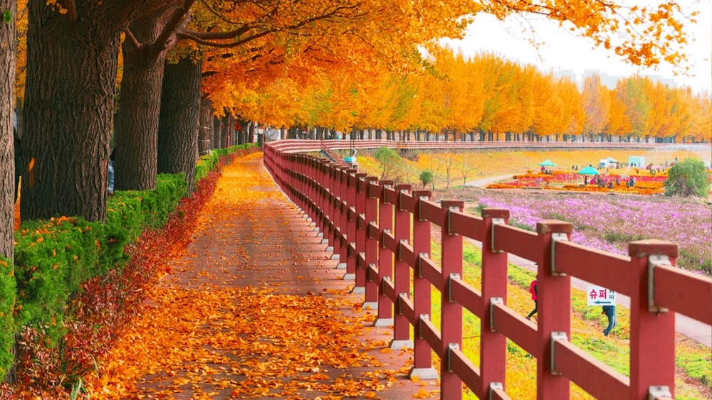 Tranh phong cảnh mùa thu đẹp tinh tế đầy cảm xúc