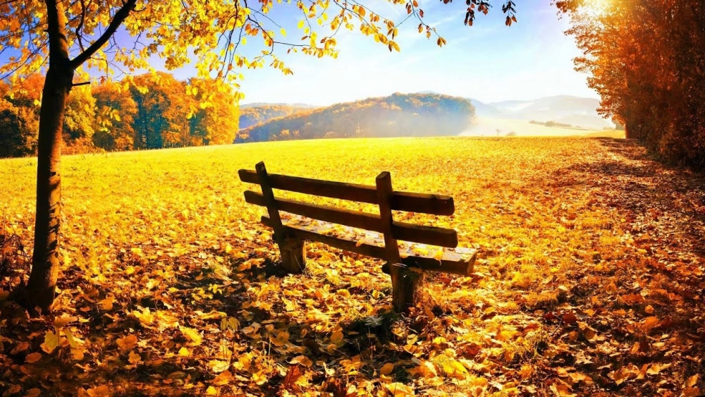 Ảnh phong cảnh lá vàng mùa thu đẹp mắt tự nhiên