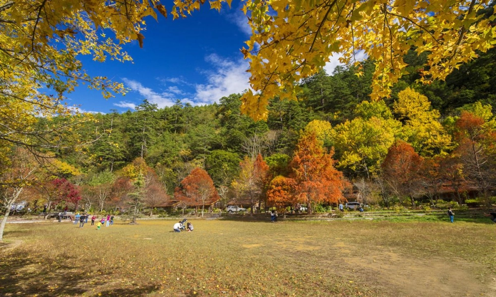 Ảnh phong cảnh mùa thu buồn gợi cảm xúc sâu lắng