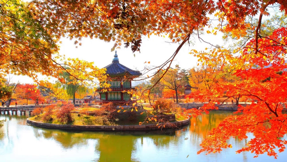 Ảnh phong cảnh mùa thu thơ mộng nhẹ nhàng và dịu dàng