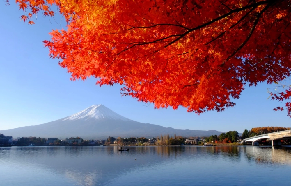 Tranh phong cảnh mùa thu rực rỡ lá vàng đẹp mắt