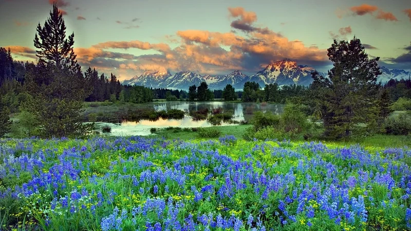 Thử vẽ tranh phong cảnh mùa xuân đơn giản dễ thương