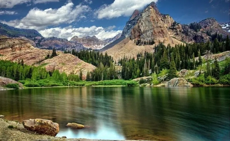 Chiêm ngưỡng tranh sơn dầu núi non sống động và giàu cảm xúc