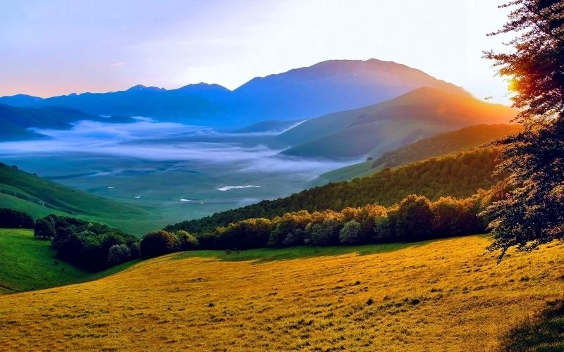 Thưởng thức ảnh phong cảnh núi rừng đẹp mắt và sống động