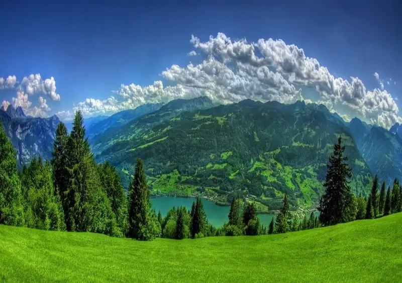 Hướng dẫn vẽ tranh phong cảnh rừng núi đơn giản cho bạn