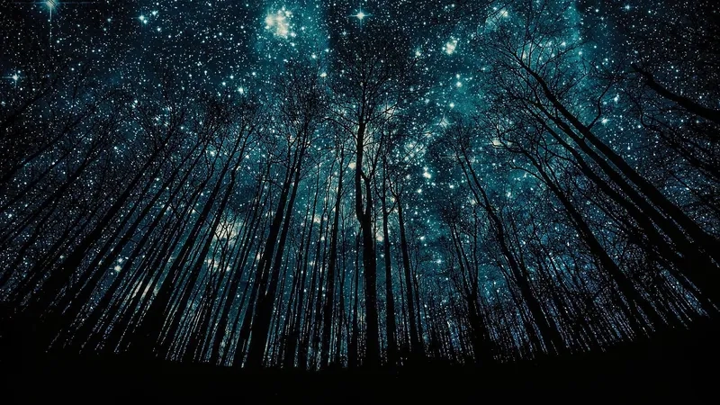 Ngắm Phong cảnh trời đêm đầy sao với hình ảnh mặt trăng và bầu trời sao