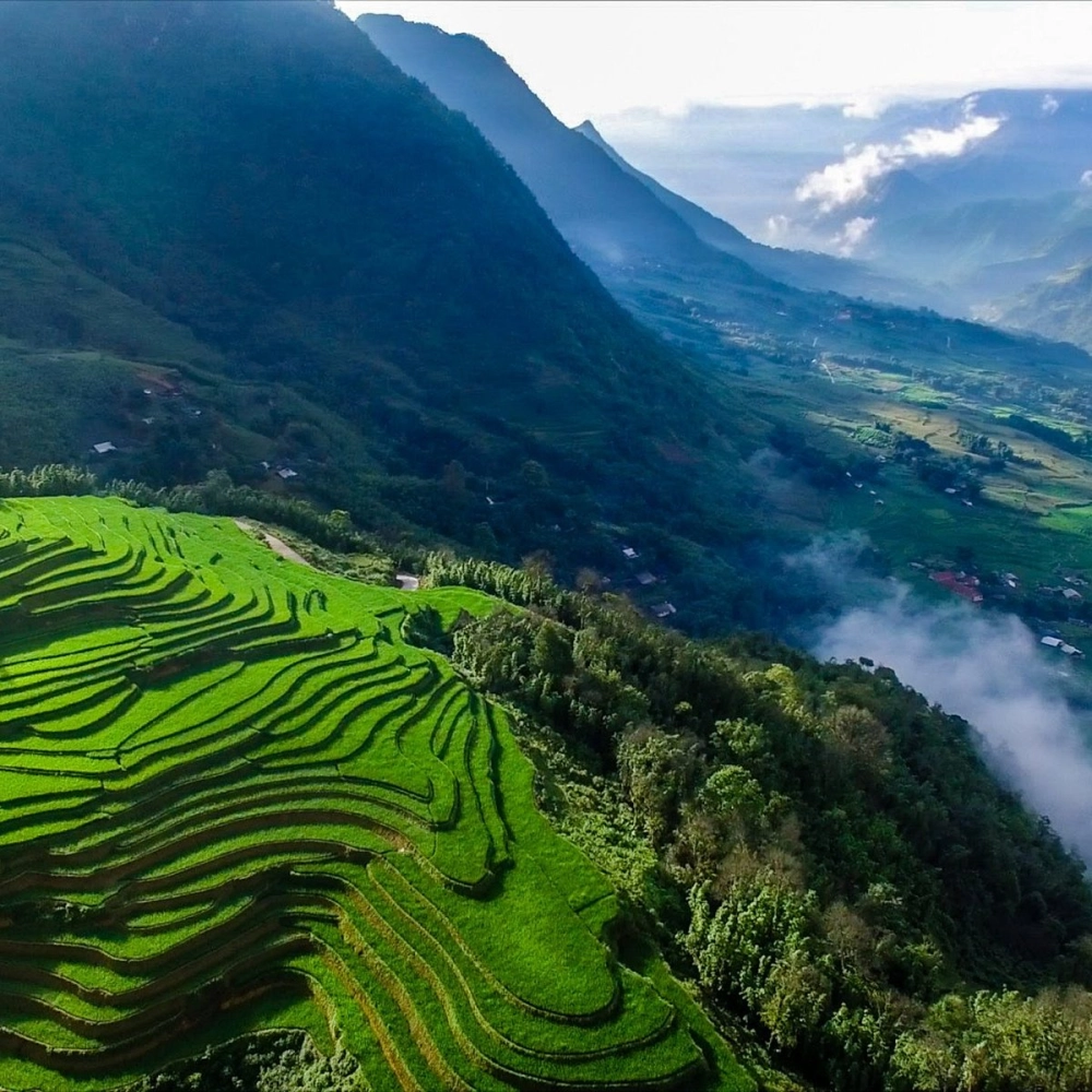 Học cách vẽ phong cảnh vùng cao sống động và đẹp mắt