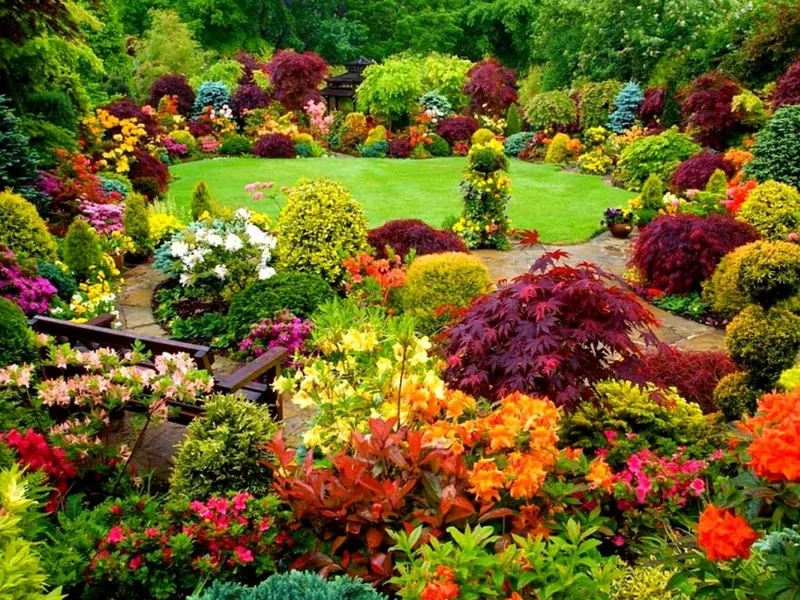 Tận hưởng mô hình vườn bách thảo mini tinh tế và nhỏ gọn