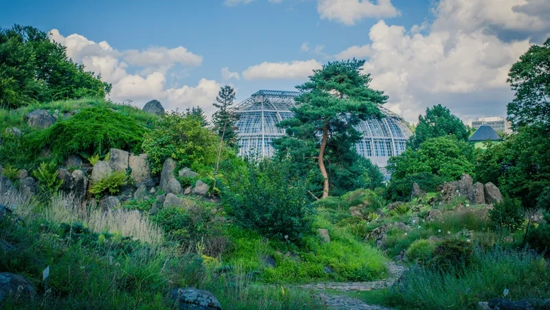 Tham quan cảnh quan vườn sinh thái gần gũi với thiên nhiên