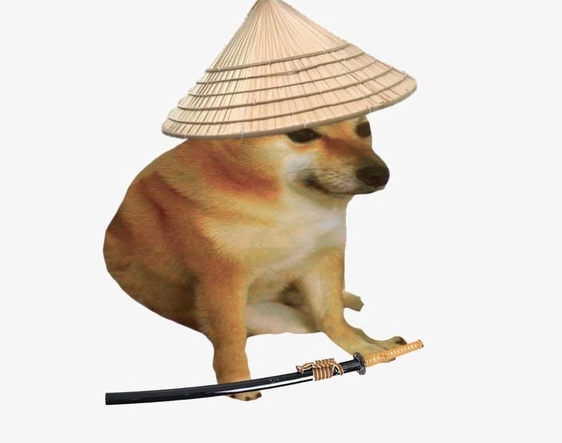 Khám phá những bức ảnh phóng lợn meme hài hước