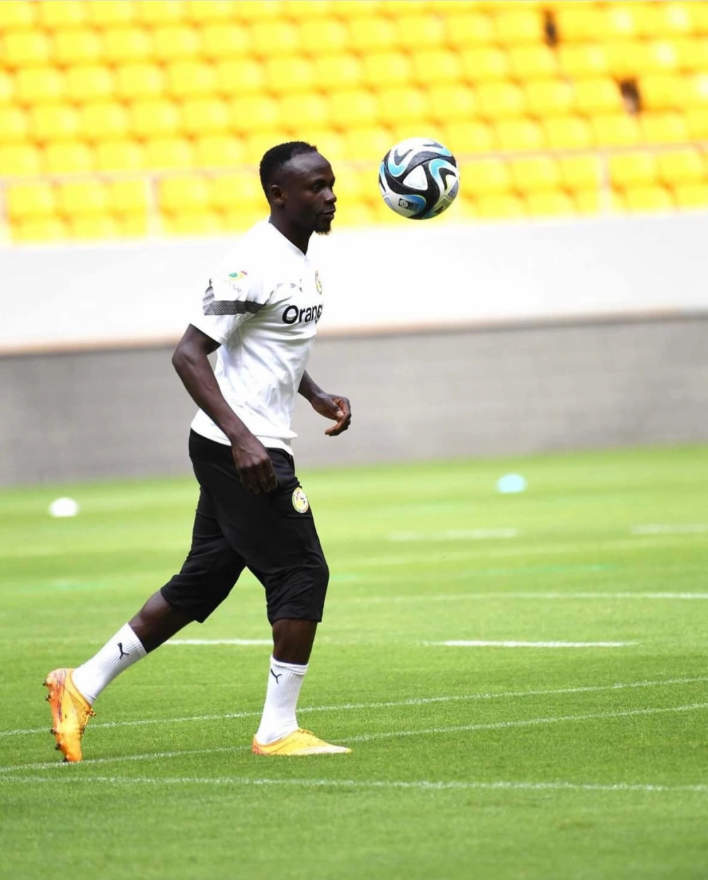 Statistik Sadio Mané ghi lại hành trình thăng hoa của ngôi sao Senegal