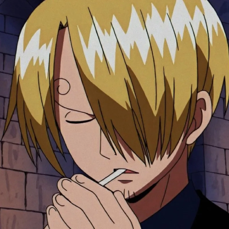 Chiêm ngưỡng sức mạnh sanji in one piece