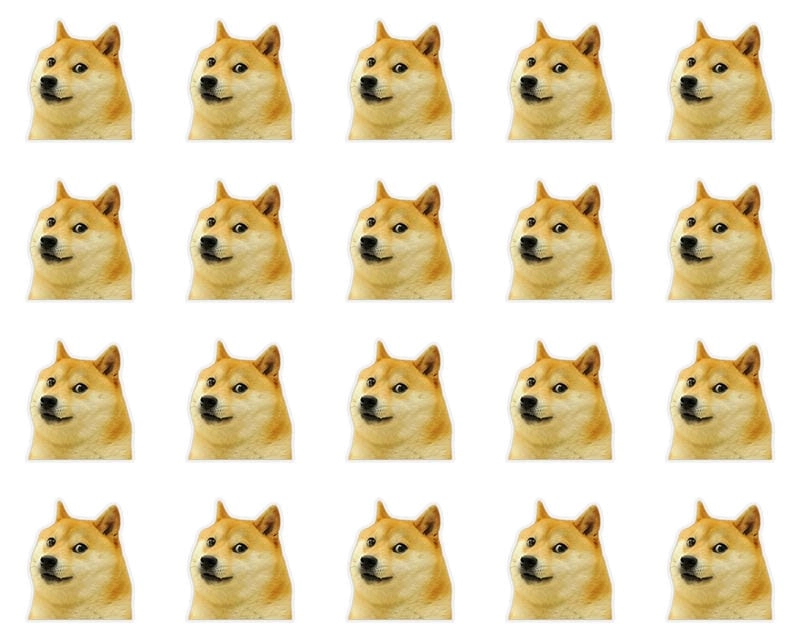 Tìm hiểu sức hút của Shiba Meme