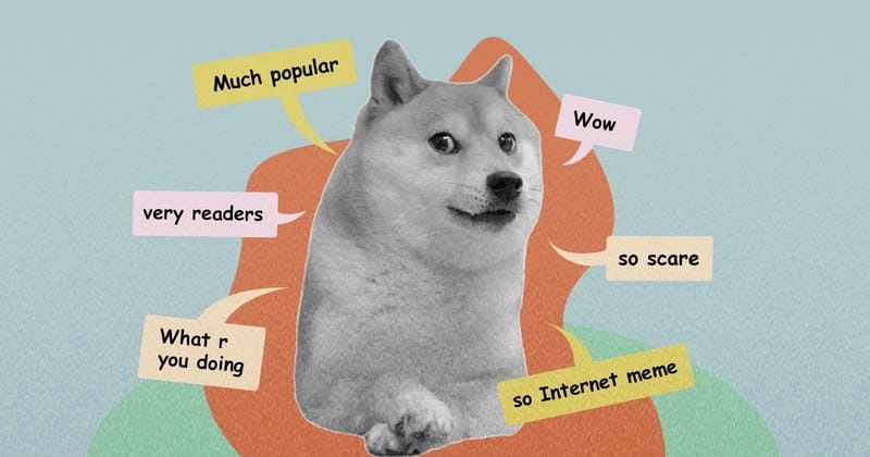 Cùng cười với những hình shiba meme buồn cười