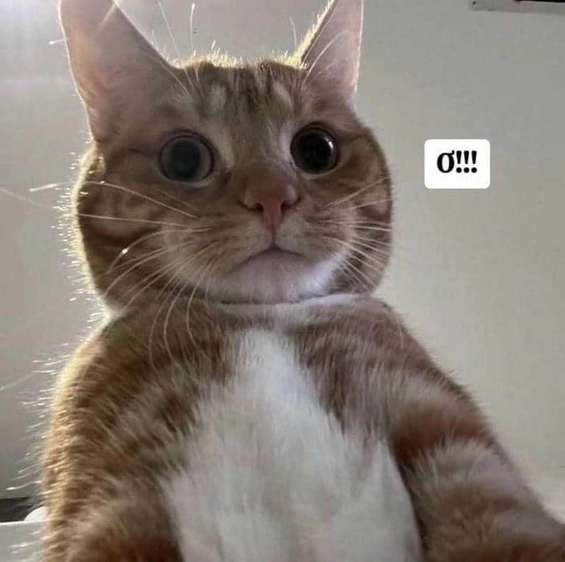 Sưu tầm những bức shock meme mới nhất