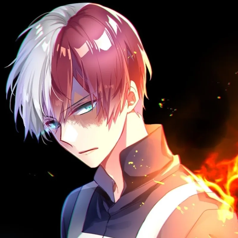 Ai mê my hero academia shoto sẽ thích thú ngay