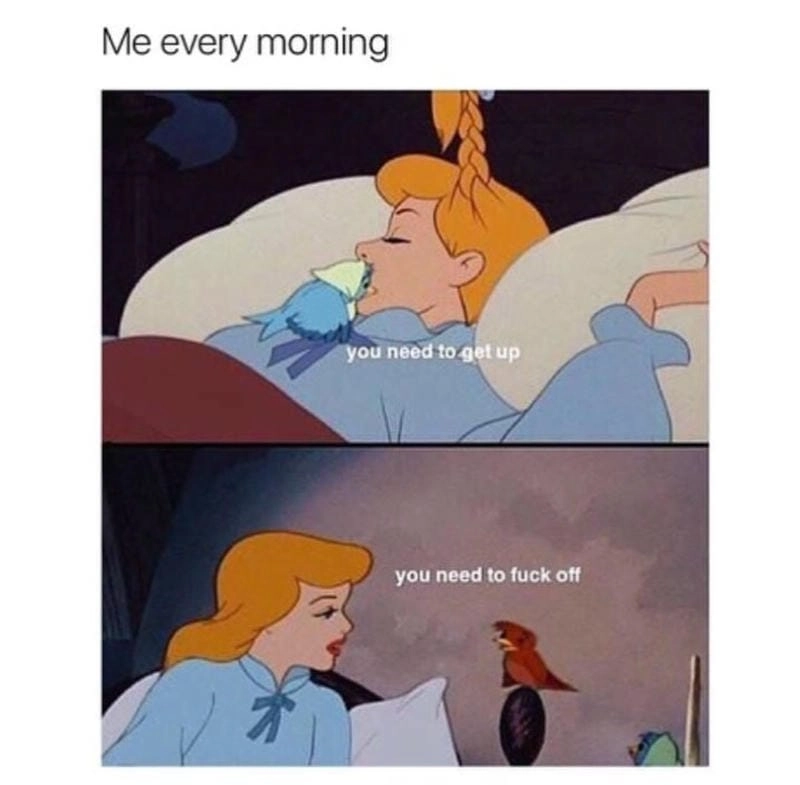 Lạc lối trong sleep meme giải trí