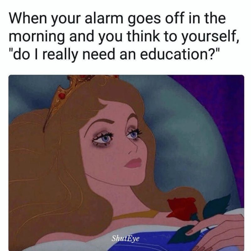 Gợi ý những bức sleep meme troll