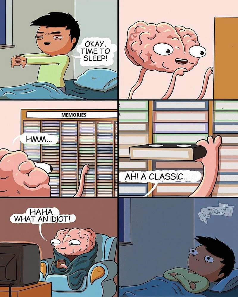 Cùng du ngoạn sleep meme đời sống