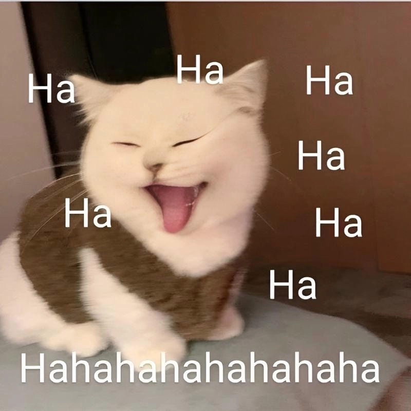 Tìm hiểu Sức hút của meme smile