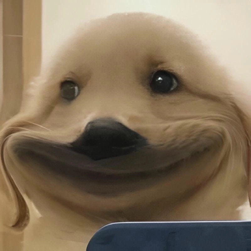 Cùng cười với những hình smile meme cute