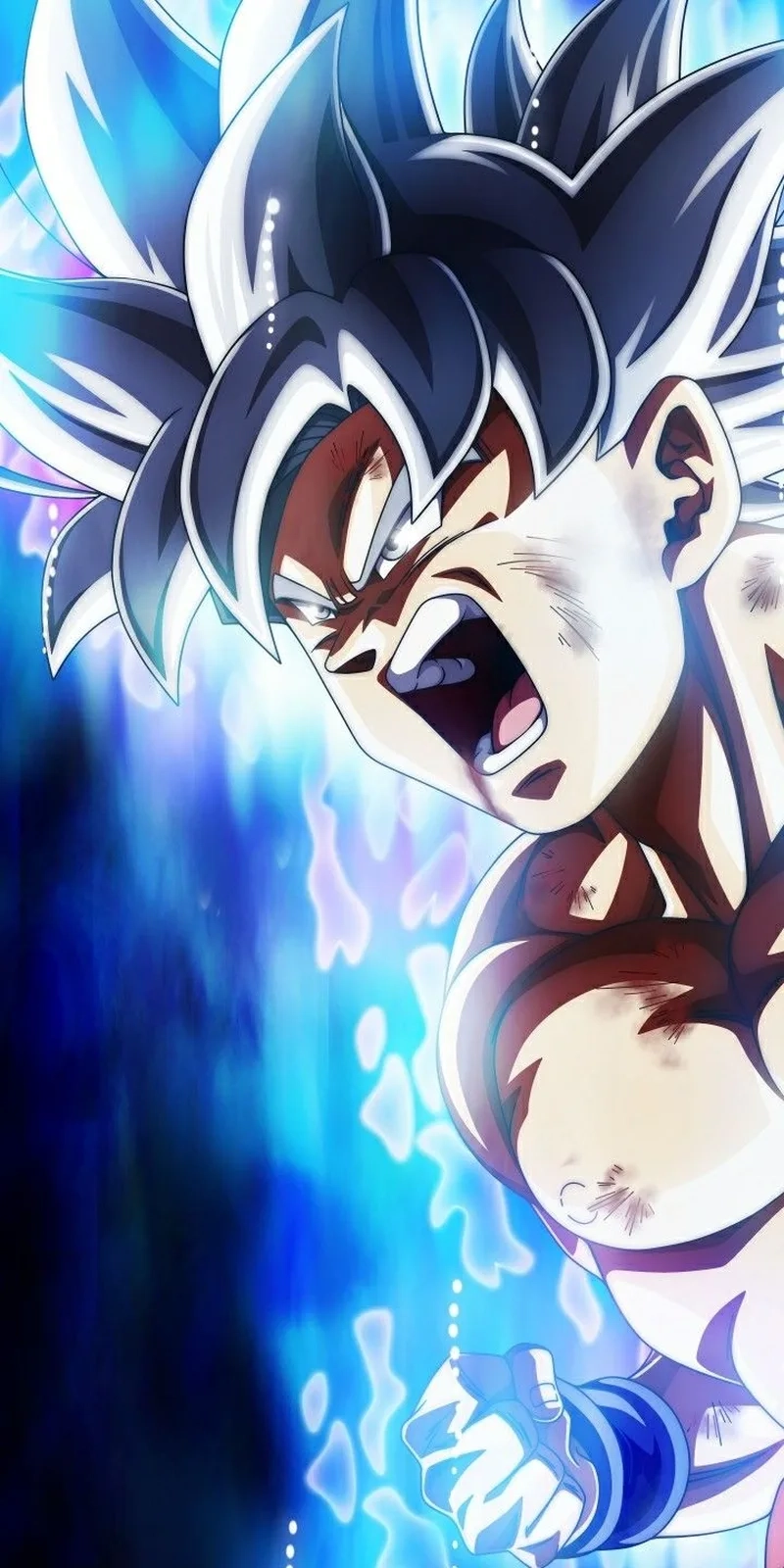 Phiêu lưu không giới hạn cùng son goku ultra instinct