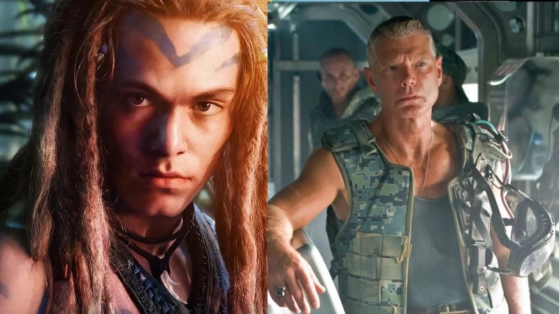 Gửi tặng spider avatar parents làm avatar gia đình