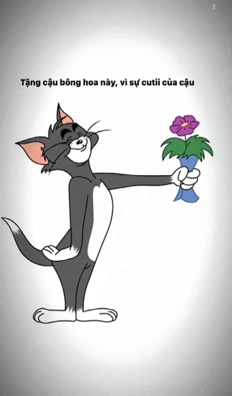 Cùng du ngoạn tặng hoa meme bá đạo