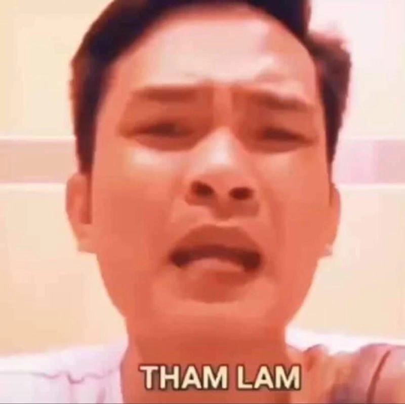 Khám phá những bức meme tham lam hài hước