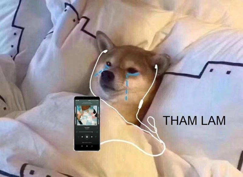 Tìm hiểu Vì sao tham lam meme lại viral