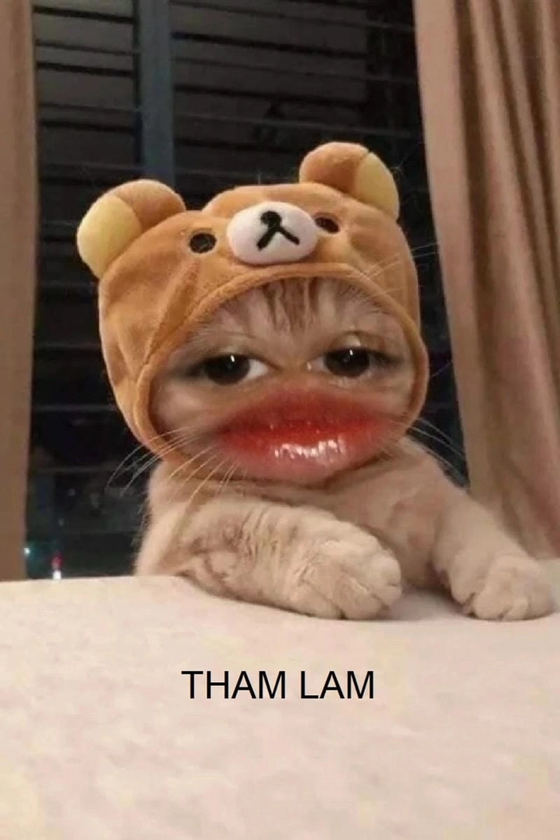 Cùng cười với những hình ảnh meme tham lam