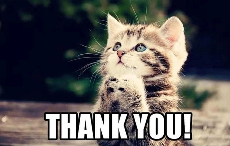 Tìm hiểu sức hút của Thank you meme