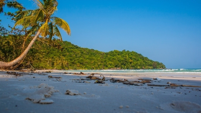 Khám phá vẽ tranh phong cảnh bãi biển mùa hè rực rỡ