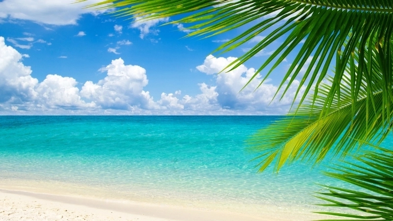 Khám phá những tranh vẽ biển đẹp mê hoặc tâm hồn